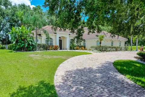 Tiny photo for 16623 Royal Palm Drive, Groveland, FL 34736 (MLS # O6333596)