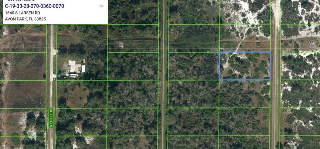 Photo of 1640 S Larsen Road, Avon Park, FL 33825 (MLS # GC543536)