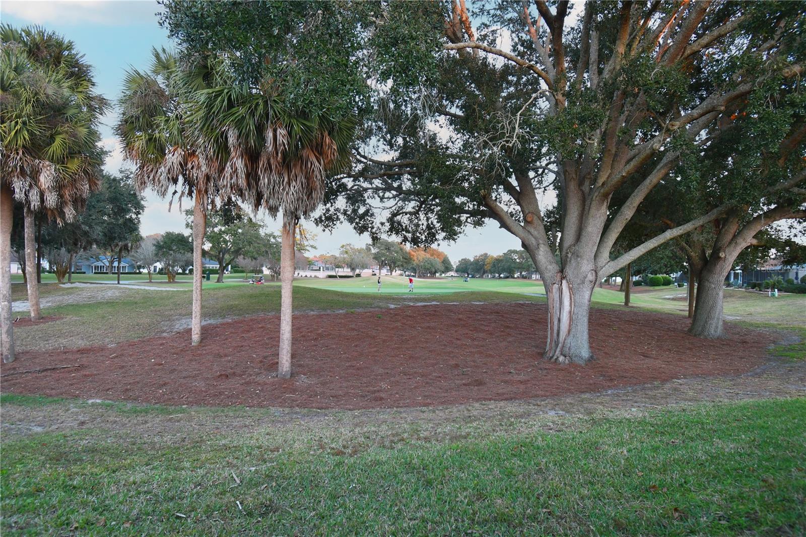 VILLAGES OF SUMTER - Residential