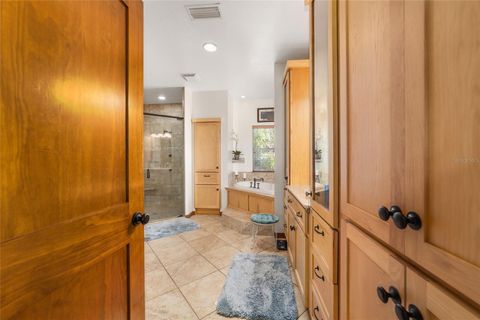 Tiny photo for 20005 NW 135th Avenue, Micanopy, FL 32667 (MLS # OM722396)