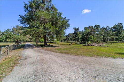 Tiny photo for 20005 NW 135th Avenue, Micanopy, FL 32667 (MLS # OM722396)