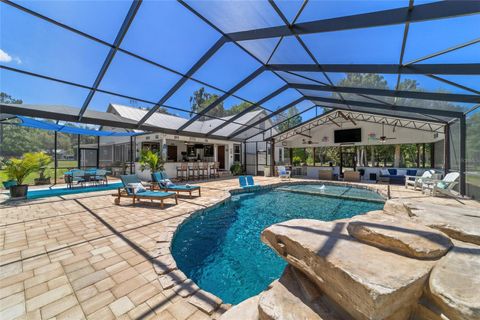 Tiny photo for 20005 NW 135th Avenue, Micanopy, FL 32667 (MLS # OM722396)