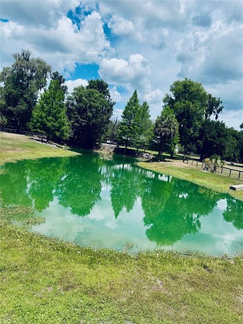 Tiny photo for 20005 NW 135th Avenue, Micanopy, FL 32667 (MLS # OM722396)