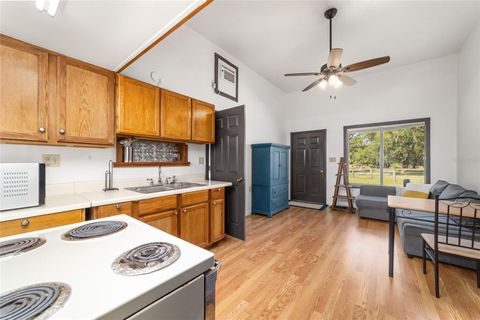 Tiny photo for 20005 NW 135th Avenue, Micanopy, FL 32667 (MLS # OM722396)