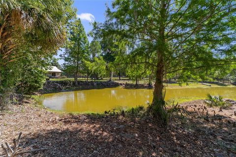 Tiny photo for 20005 NW 135th Avenue, Micanopy, FL 32667 (MLS # OM722396)