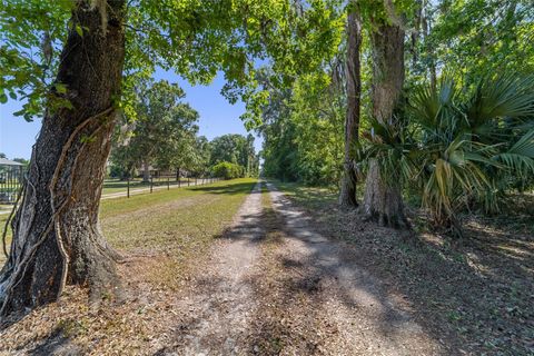 Tiny photo for 20005 NW 135th Avenue, Micanopy, FL 32667 (MLS # OM722396)