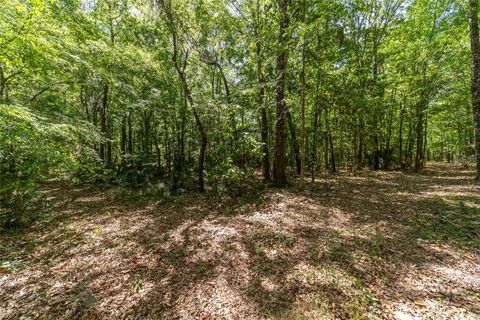 Tiny photo for 20005 NW 135th Avenue, Micanopy, FL 32667 (MLS # OM722396)