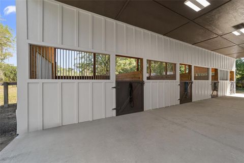 Tiny photo for 20005 NW 135th Avenue, Micanopy, FL 32667 (MLS # OM722396)