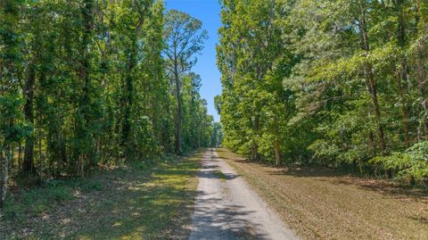 Tiny photo for 20005 NW 135th Avenue, Micanopy, FL 32667 (MLS # OM722396)