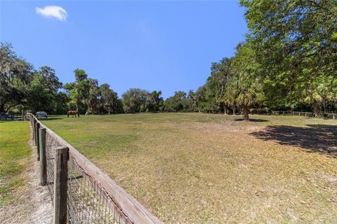 Tiny photo for 20005 NW 135th Avenue, Micanopy, FL 32667 (MLS # OM722396)