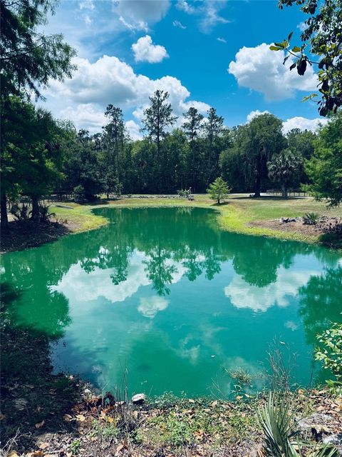 Tiny photo for 20005 NW 135th Avenue, Micanopy, FL 32667 (MLS # OM722396)