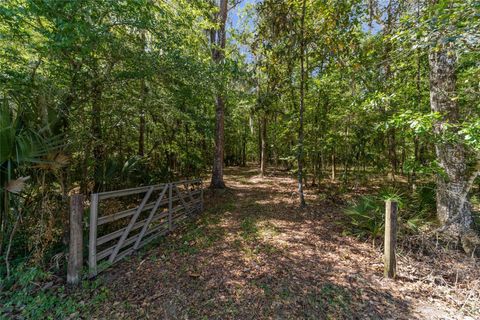 Tiny photo for 20005 NW 135th Avenue, Micanopy, FL 32667 (MLS # OM722396)