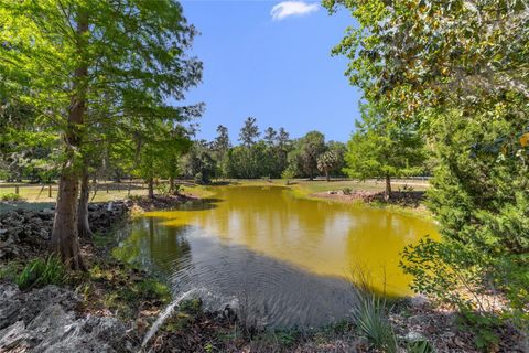 Tiny photo for 20005 NW 135th Avenue, Micanopy, FL 32667 (MLS # OM722396)