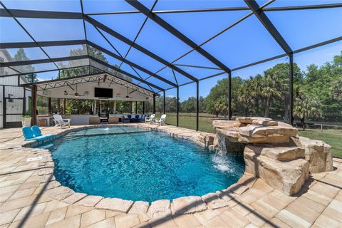 Tiny photo for 20005 NW 135th Avenue, Micanopy, FL 32667 (MLS # OM722396)