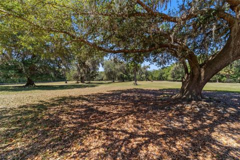 Tiny photo for 20005 NW 135th Avenue, Micanopy, FL 32667 (MLS # OM722396)
