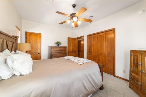 Tiny photo for 20005 NW 135th Avenue, Micanopy, FL 32667 (MLS # OM722396)