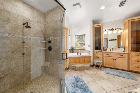 Tiny photo for 20005 NW 135th Avenue, Micanopy, FL 32667 (MLS # OM722396)