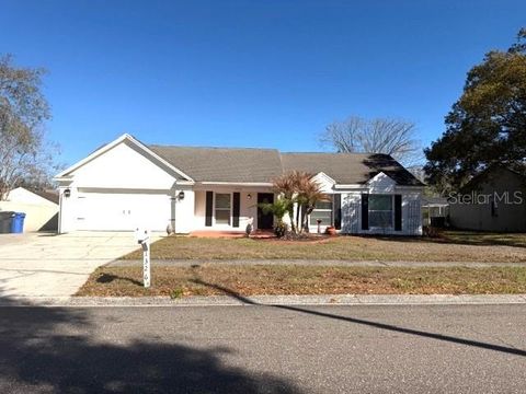 1326 PEACHFIELD DRIVE VALRICO FL 33596