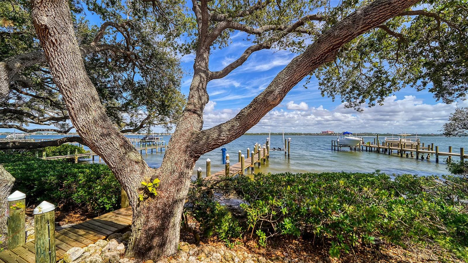 OCEAN VIEW - Residential