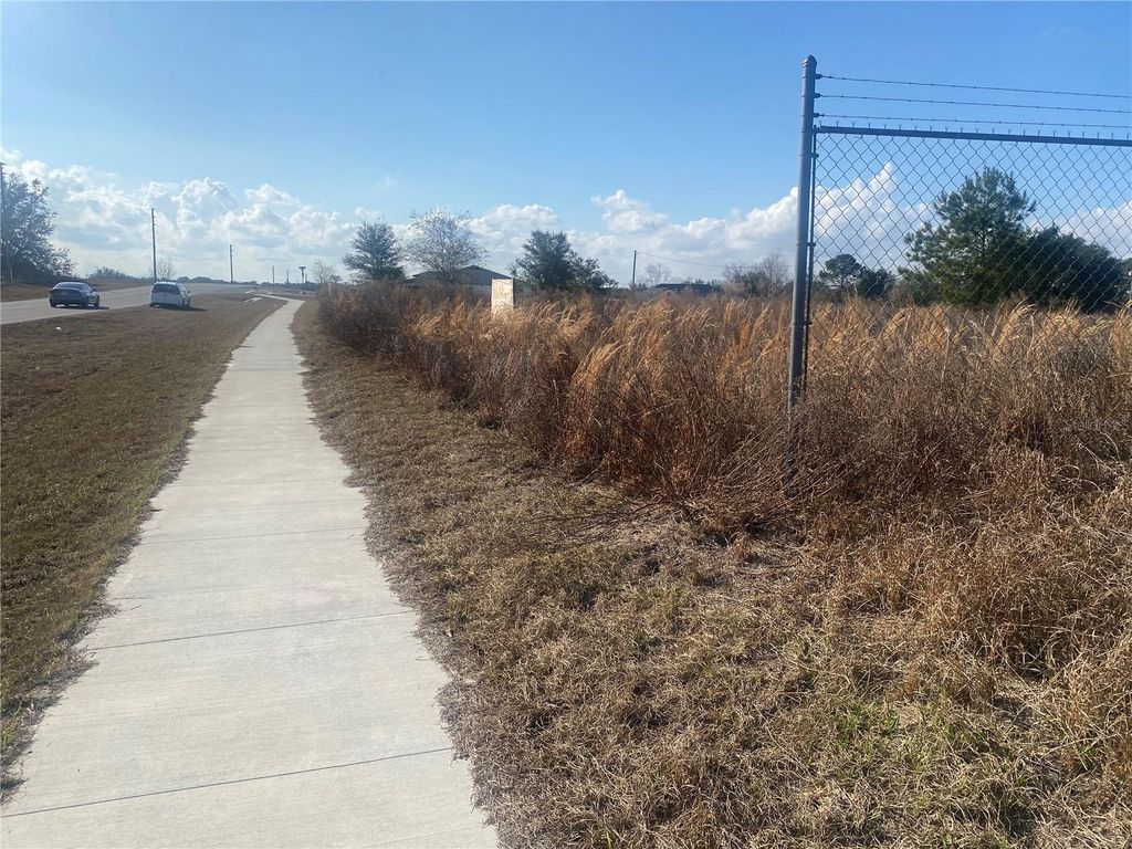 Photo of 241 Chestnut Road, Ocala, FL 34480 (MLS # OM700235)