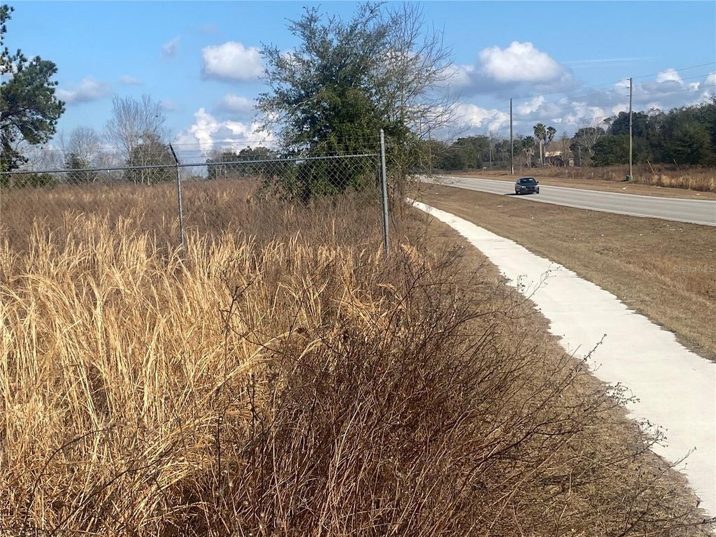 Photo of 241 Chestnut Road, Ocala, FL 34480 (MLS # OM700235)