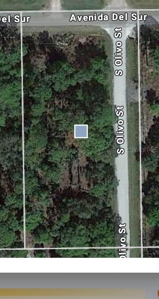 439 AVENIDA DEL SUR
