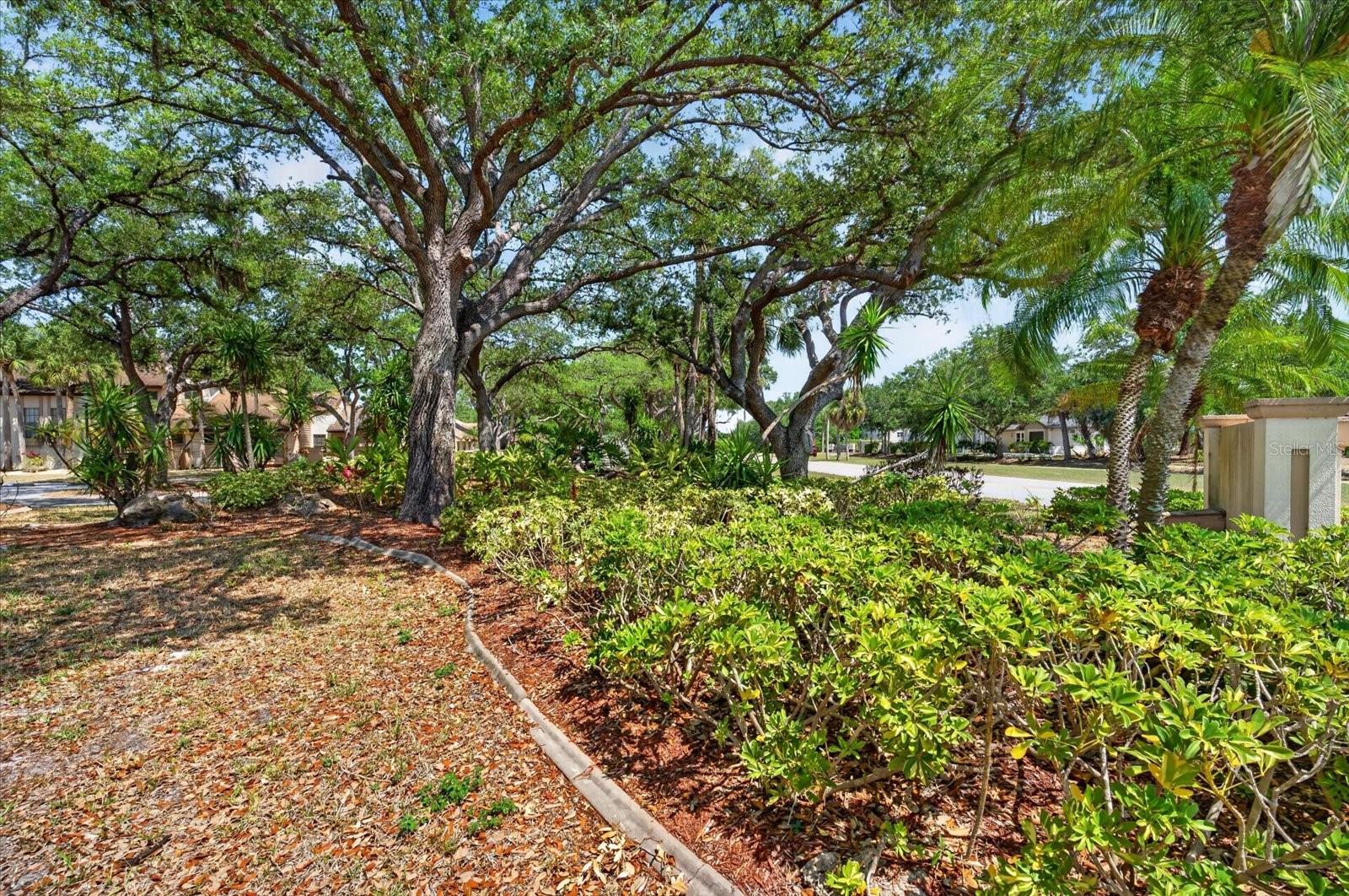 NORTH PORT CHARLOTTE COUNTRY CLUB - Residential