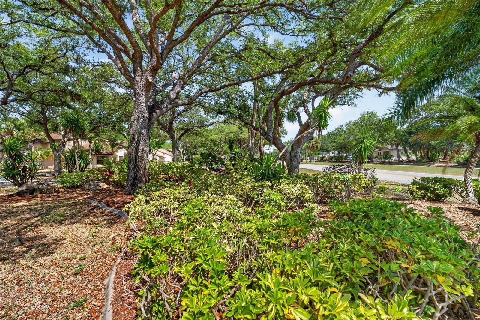 NORTH PORT CHARLOTTE COUNTRY CLUB - Residential