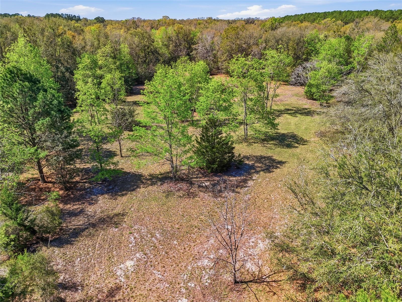 6615 NW COUNTY ROAD 235