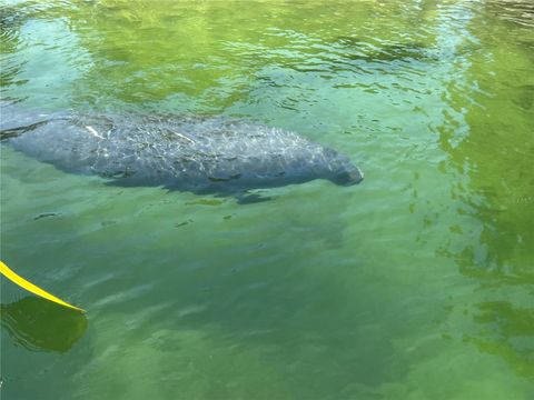 A home in WEEKI WACHEE