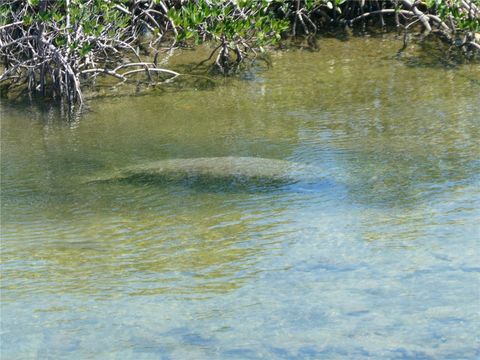 A home in WEEKI WACHEE