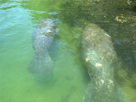 A home in WEEKI WACHEE