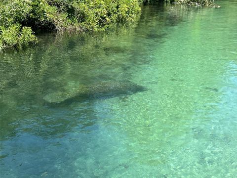 A home in WEEKI WACHEE