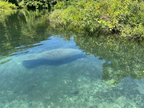 A home in WEEKI WACHEE