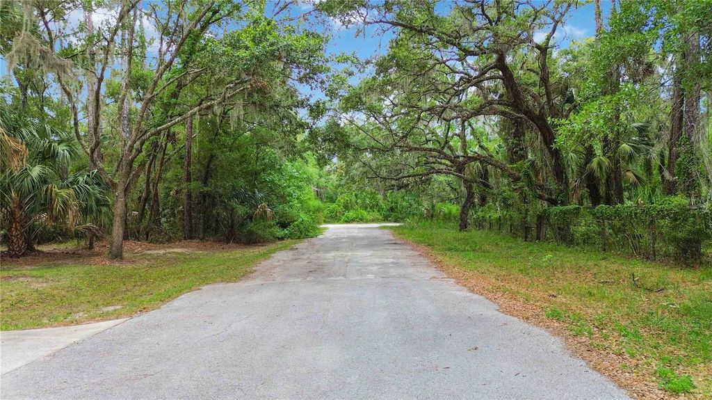 Photo of 5018 N Andri Drive, Crystal River, FL 34428 (MLS # O6297803)