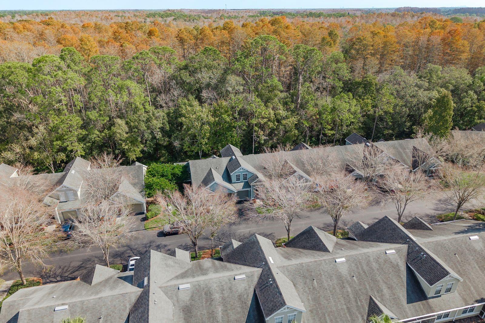 WATERFORD AT PALM HARBOR LUXURY CONDO - Residential