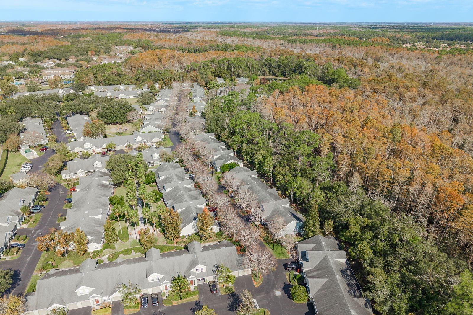 WATERFORD AT PALM HARBOR LUXURY CONDO - Residential