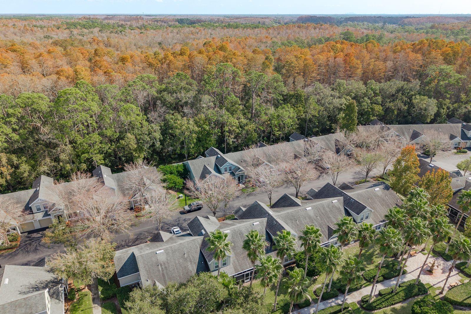 WATERFORD AT PALM HARBOR LUXURY CONDO - Residential