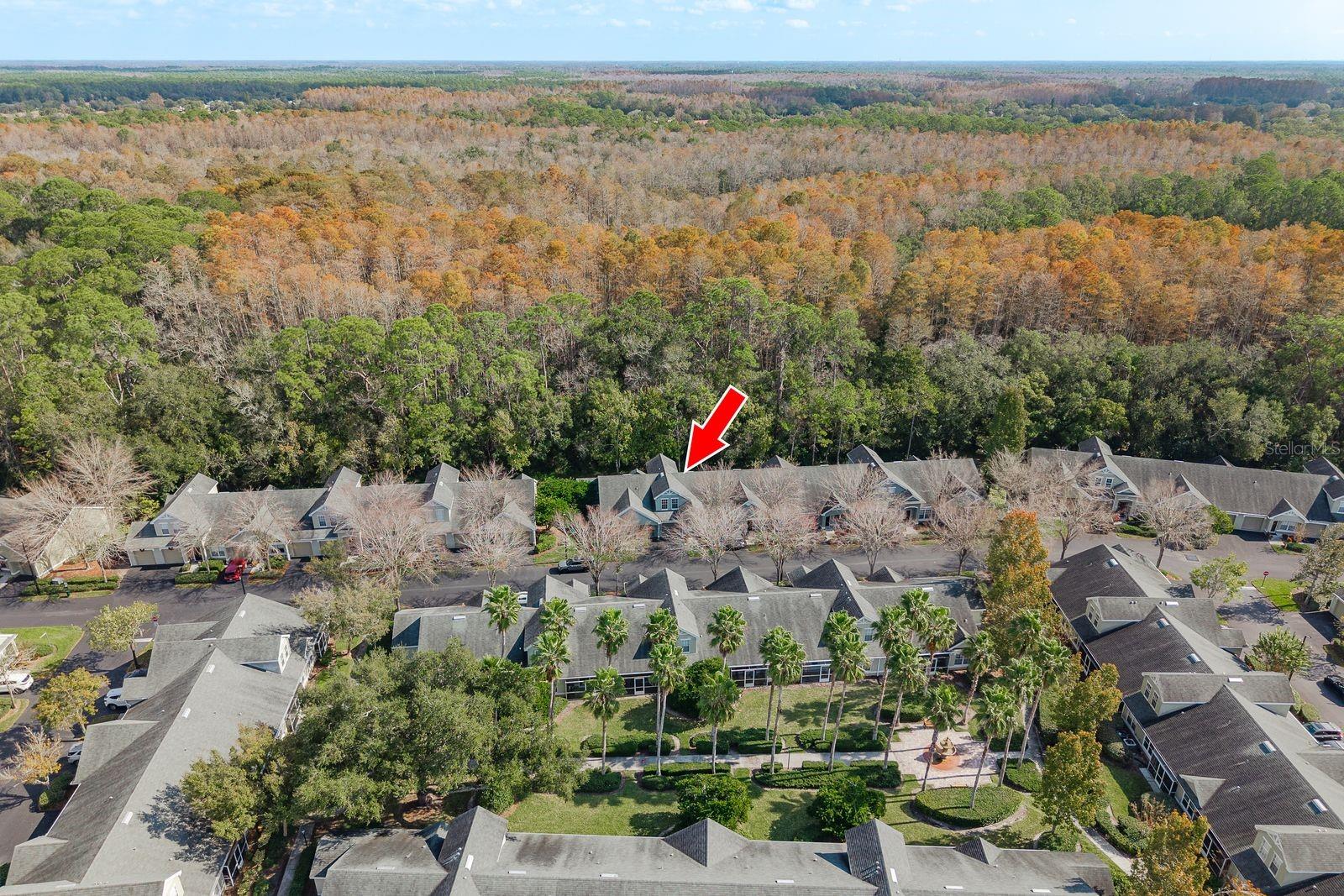 WATERFORD AT PALM HARBOR LUXURY CONDO - Residential