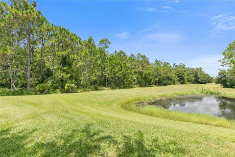 A home in ORMOND BEACH