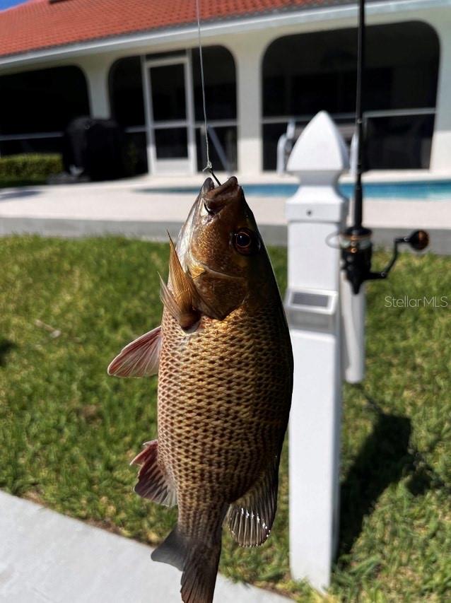 PUNTA GORDA ISLES SEC 05 - Residential