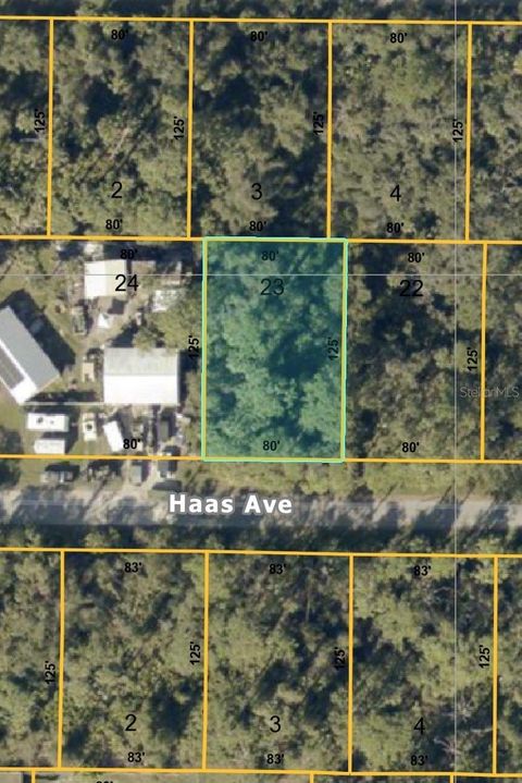 HAAS AVENUE NORTH PORT FL 34291