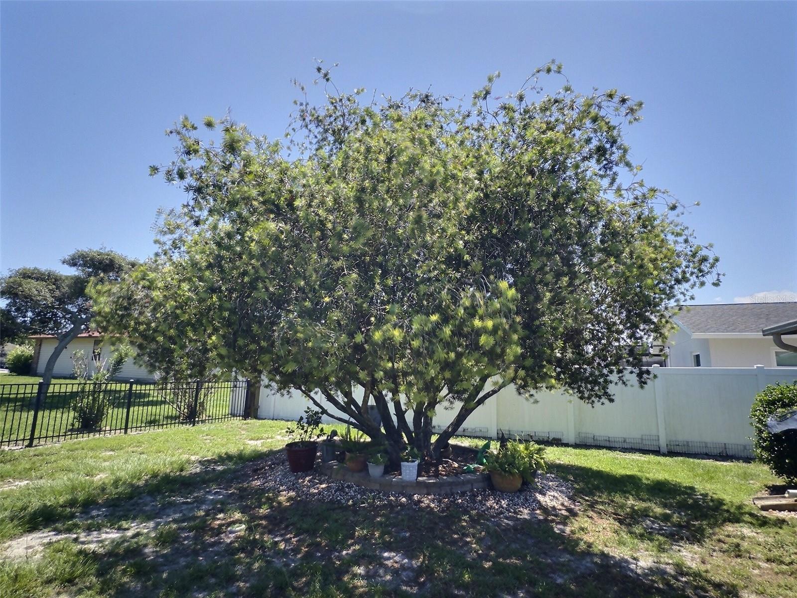 PALM HARBOR - Residential