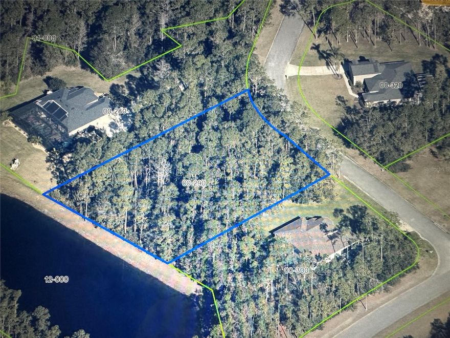 ABSOLUTELY BEAUTIFUL One-acre lot located in the amazing established Live Oak Estates community of Lake Nona. Enjoy the peace and tranquility of life in the country while being close to all the amenities of the city. This gorgeous lot features conservation frontage and offers a lovely pond view from the back of the property. This Community is Conveniently located near the 417, The Orlando International Airport, Lake Nona and the Medical City. Central Florida is home to several popular Theme Parks which are less than an hour from this community. East and West Coast beaches are also very close to this community. Call today for a preview of this amazing opportunity to own a piece of paradise in Live Oak Estates!