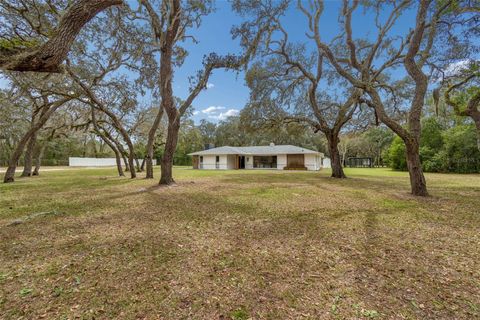 Photo of 13402 Peace Boulevard, Spring Hill, FL 34610 (MLS # TB8485752)