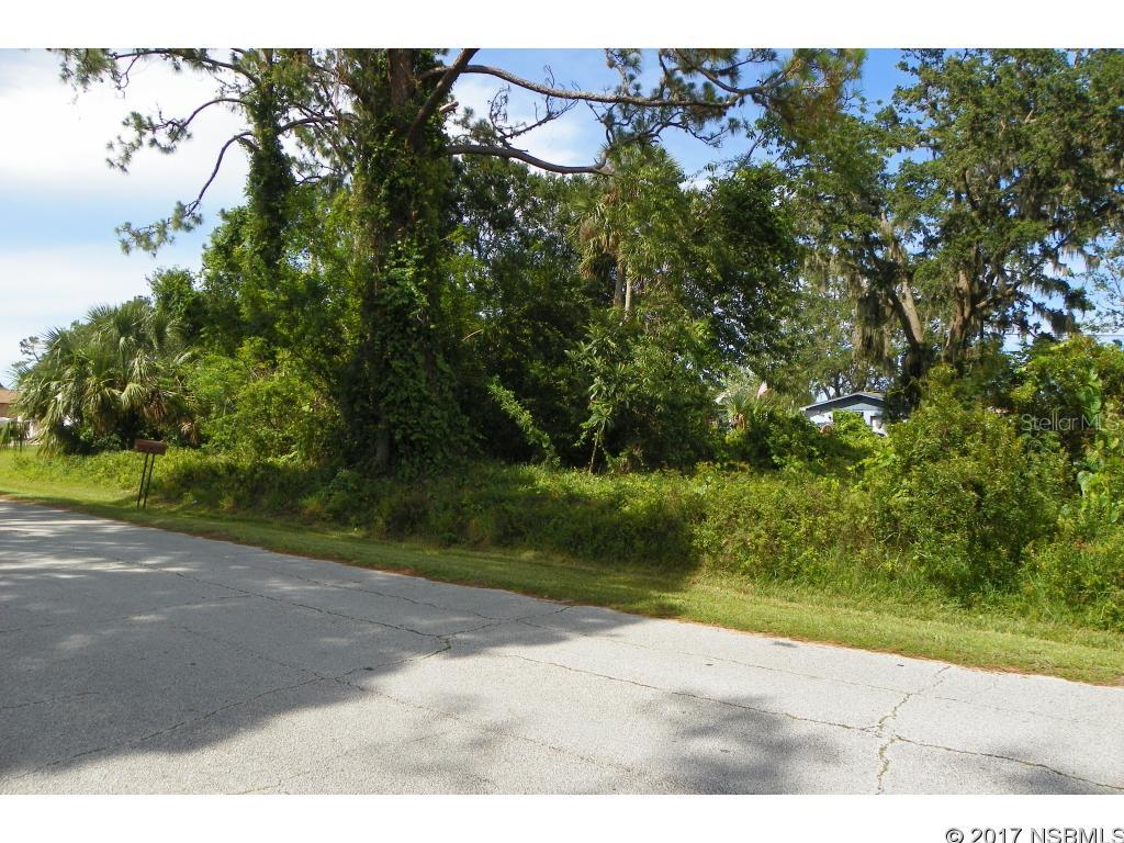 Florida Shores 01 - Land