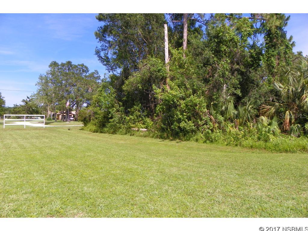 Florida Shores 01 - Land