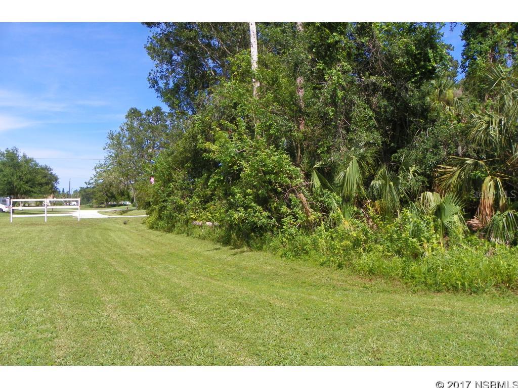 Florida Shores 01 - Land