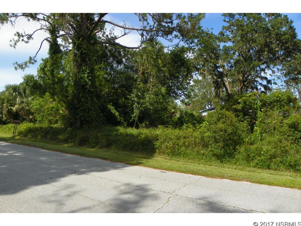 Florida Shores 01 - Land