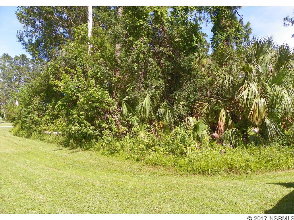 Florida Shores 01 - Land